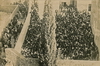 1937 - Maronite parishioners demonstration in Haifa